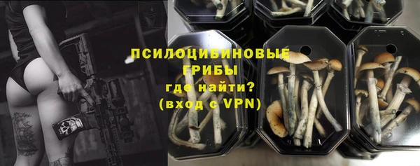 прущая мука Арсеньев