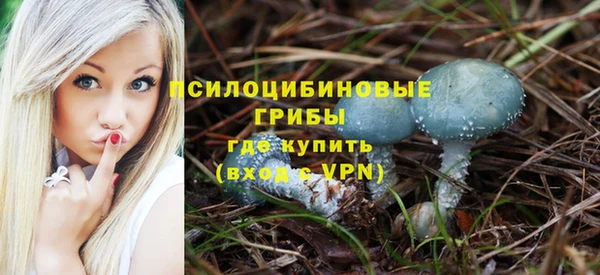 spice Армянск