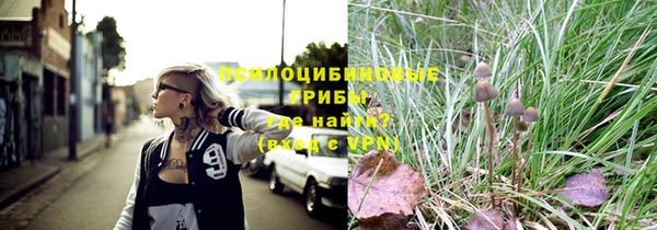 прущая мука Арсеньев