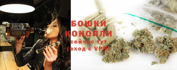 прущая мука Арсеньев